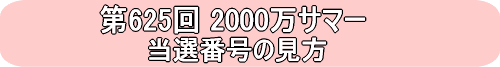 第625回全国自治宝くじ2000万サマー当選番号の見方