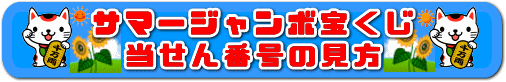 第663回サマージャンボ宝くじ当選番号の見方